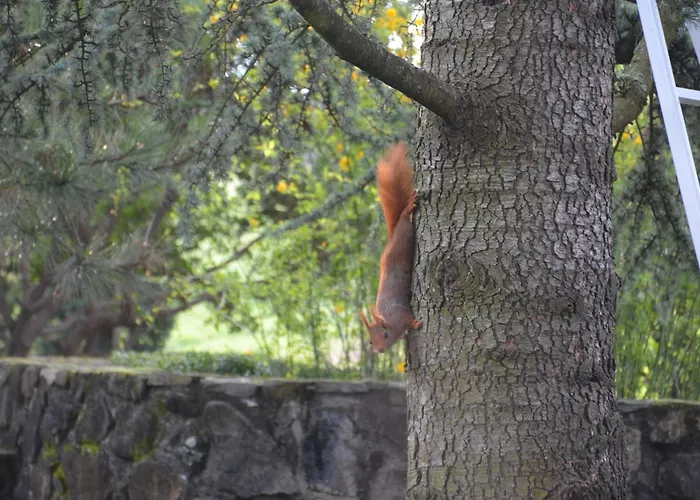 Domaine Insolite du Petit Moras