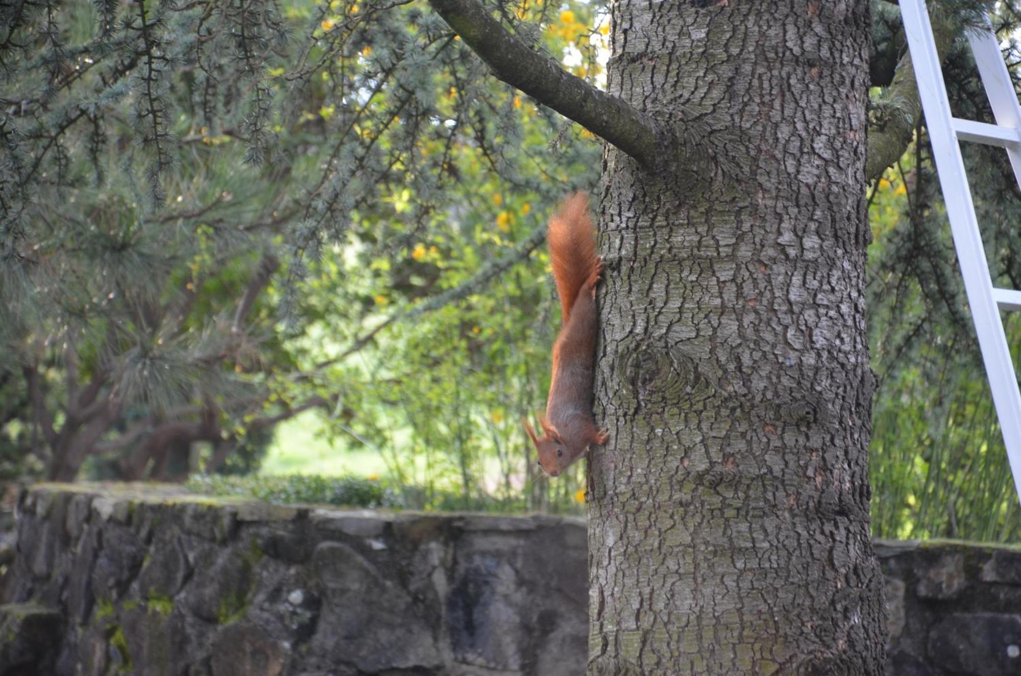 Domaine Insolite Du Petit Moras Couette-café *